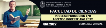 PROCESO DE PROMOCIÓN DOCENTE 2022