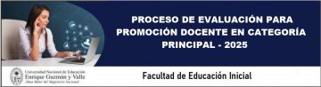 Proceso de Evaluación para Promoción Docente Categoría de Principal - 2025
