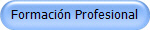 Formacin Profesional