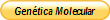 Gentica Molecular