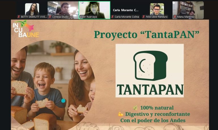 Imagen 10