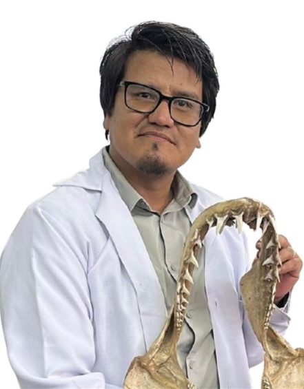 DR. valido
