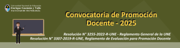 Proceso de Promoción Docente 2025